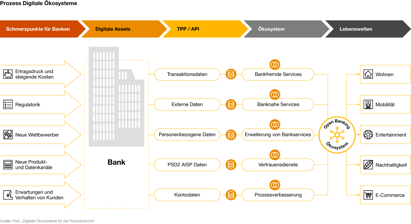 Infografik: Prozess Digitale Ökosysteme