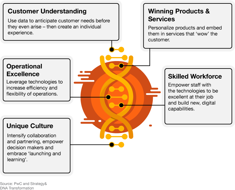 Chart: Crucial factors in transforming a company's DNA