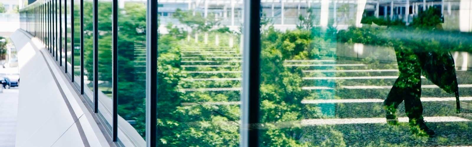 Glasspiegelung Büro mit Busch