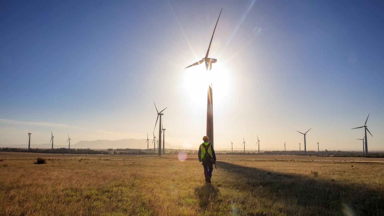 Ingenieur, der bei Sonnenuntergang durch einen Windpark geht