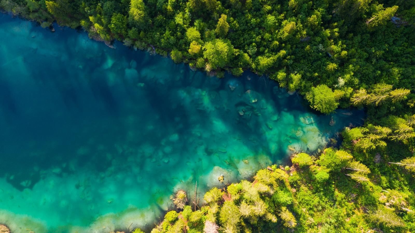 See, Wald und Wasser von oben