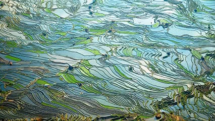 Zukunftstechnologie Blockchain: Einsatz für einen besseren Planeten