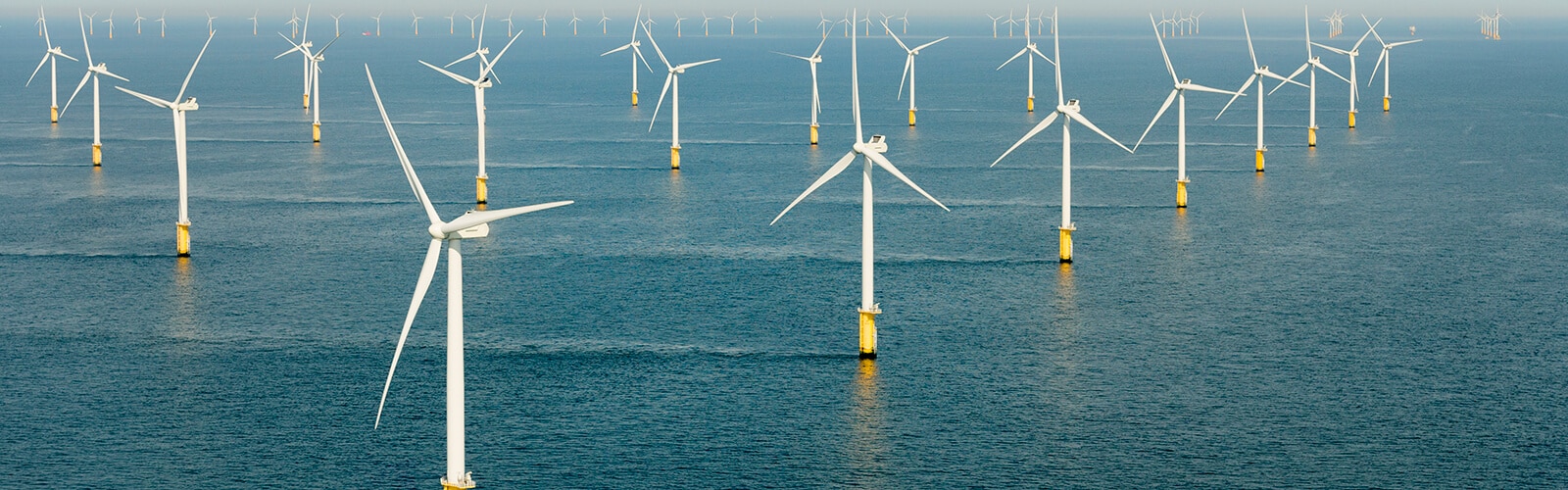 Windpark im Meer