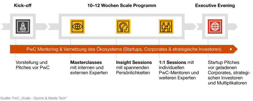 Infografik zum Ablauf des Scale Programms von PwC Deutschland