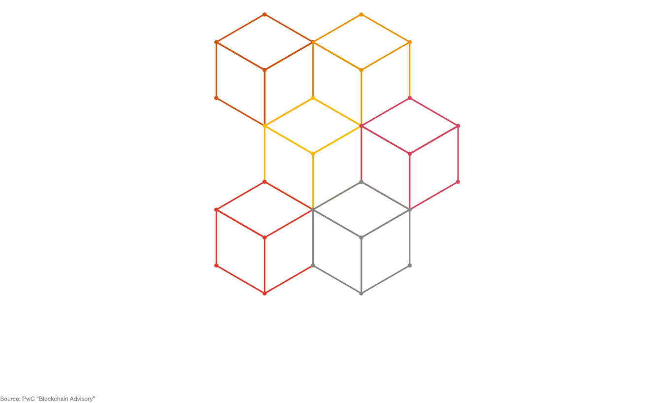 PwC Infographic: Our blockchain services